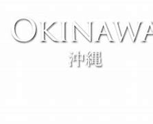 Image result for Okinawa Travel Guide