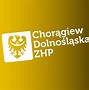 Image result for chorągiew_dolnośląska_zhp