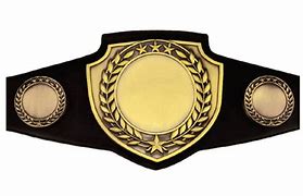 Image result for Wrestling for a Belt