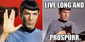Image result for Bones and Spock Meme