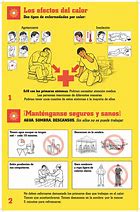 Image result for 5S Lean Workplace Cards in Spanish