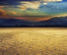 Image result for Dry Land