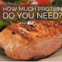 Image result for Highest Protein Percentage Foods