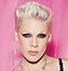 Image result for Pink Singer Face