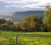 Image result for Countryside Near London