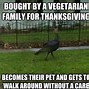Image result for Small Turkey Meme
