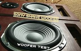 Image result for Sony Woofer Close. Type