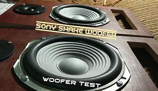 Image result for Sony Woofer with 2 Bass Holes