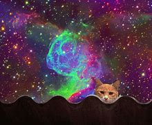 Image result for Cat in Space Wallpaper Reddit