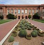 Image result for University of Arizona Tusan