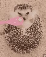 Image result for Hedgehog Eating Cereal Oil Pastel