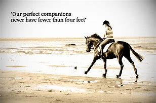 Image result for Sarcastic Horse Riding Quotes