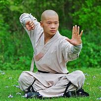 Image result for Martial Arts Photography