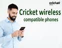 Image result for Cricket Communications