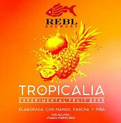 Image result for Tropicalia IPA Logo
