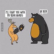Image result for Funny Bear Puns