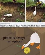 Image result for Goose Memes