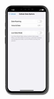 Image result for How to Turn On Data Roaming On iPhone