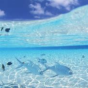 Image result for Ocean iPad Wallpaper