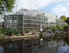 Image result for Amsterdam Botanical Garden