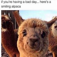 Image result for Are You Having a Bad Day Meme