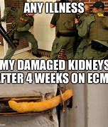 Image result for Kidney for iPhone Meme