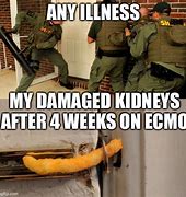 Image result for How to Lose a Kidney Meme
