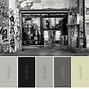 Image result for Grey Color Pallet