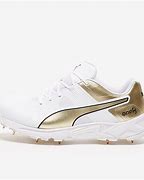 Image result for Puma One.8 Cricket Shoes