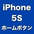 Image result for iPhone 5S Home Buttin