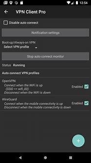 Image result for VPN Client Pro