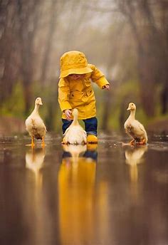 Pin by Heather Flota-Moore on rain | Animals, Photography, Beautiful pictures