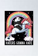 Image result for Haters Gonna Hate Panda Meme