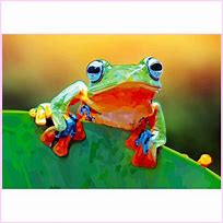 Image result for New Frog Diamond Painting