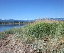 Image result for Comox Glacier Hike