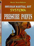 Image result for Systema Points