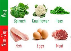Image result for Vegetarian Two Ved and One Protein
