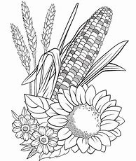 Image result for Harvest Corn Coloring Pages