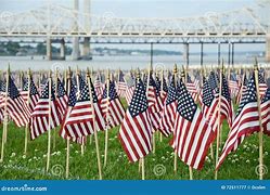 Image result for Red American Flag