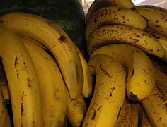 Image result for Bruised Banana Pics