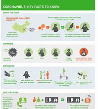 Image result for Covid Facts