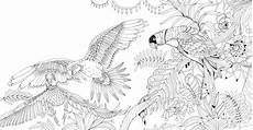 malvorlagen urwald zum ausdrucken exotischer urwald ausmalen und entspannen gu kreativ malvorlagen urwald zum ausdrucken exotischer urwald ausmalen und entspannen gu kreativ