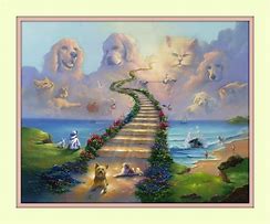 Image result for Cat and Dog Waiting at Rainbow Bridge