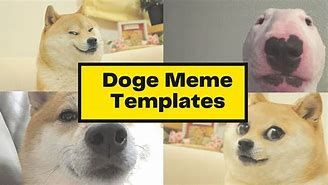 Image result for Doge Meme Female