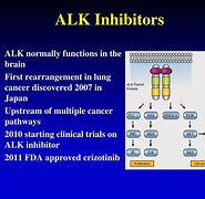 Image result for ALK Inhibitor