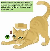 Image result for Warrior Cats Sandstorm Graphic Novel
