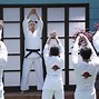Image result for Miyagi Karate Secrets