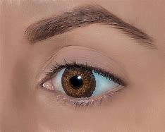 Image result for Contact Lens Colour Chart