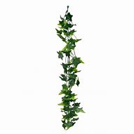 Image result for Artificial Ivy Vines Ireland