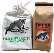 Image result for kopi luwak coffee